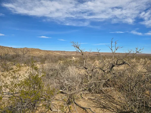 17485 Liquor Store Rd, Terlingua, TX 79852