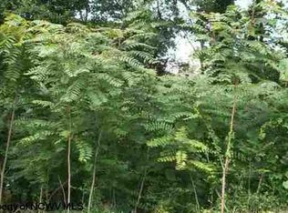 337 8th St, Morgantown, WV 26505