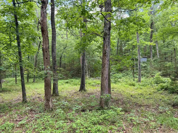3200 Edgemont Rd, Quitman, AR 72131