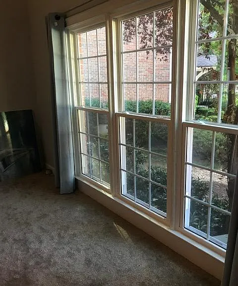 Primary Main Level Bedroom Windows