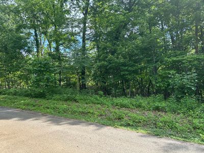 LOT 8 Clint Williams Rd, Rutledge, TN, 37861