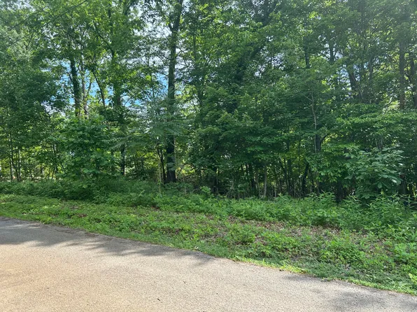 LOT 8 Clint Williams Rd, Rutledge, TN 37861