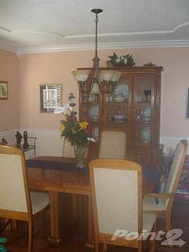 Ceiling detail in formal dining room...