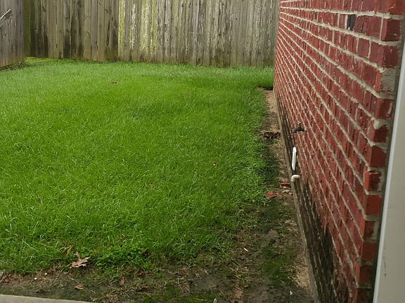 Back Patio