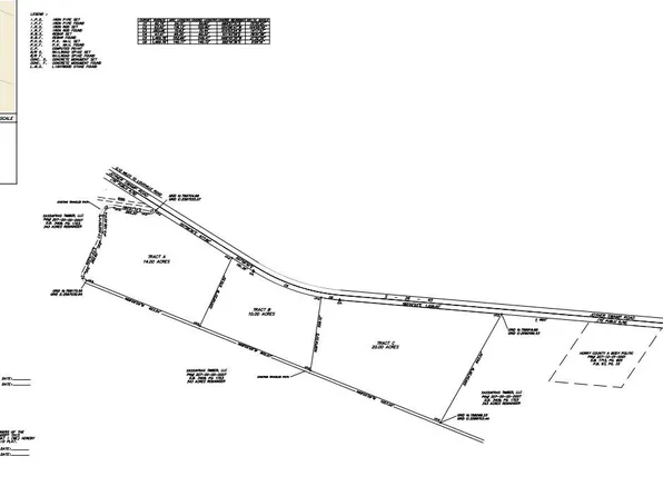 TBD Joyner Swamp Rd., Galivants Ferry, SC 29544