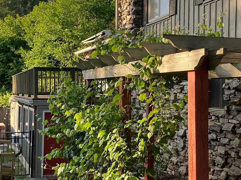 298 Town Mountain Rd — Photo 32