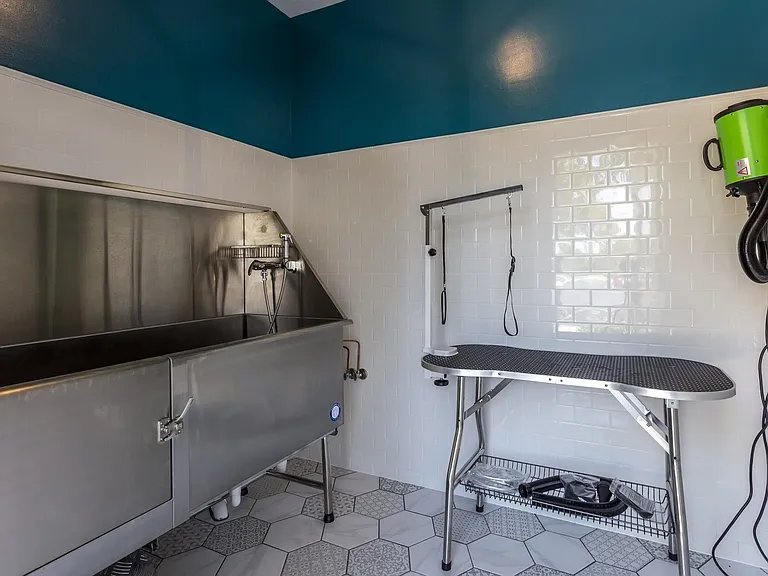 302 Sibelius Ct #302 — Photo 22