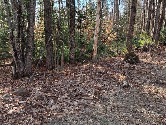 3rd image of R9  Lot 44 Zions Hill Road