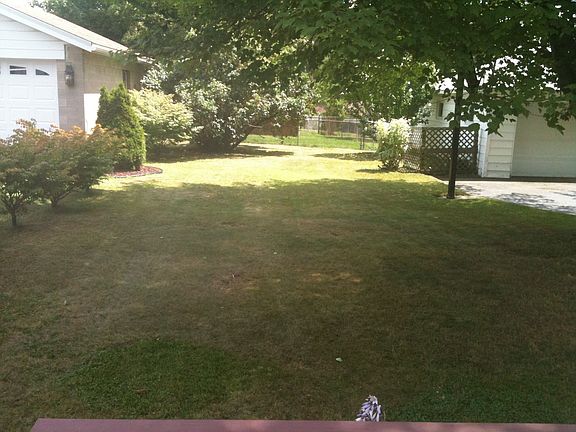 back yard