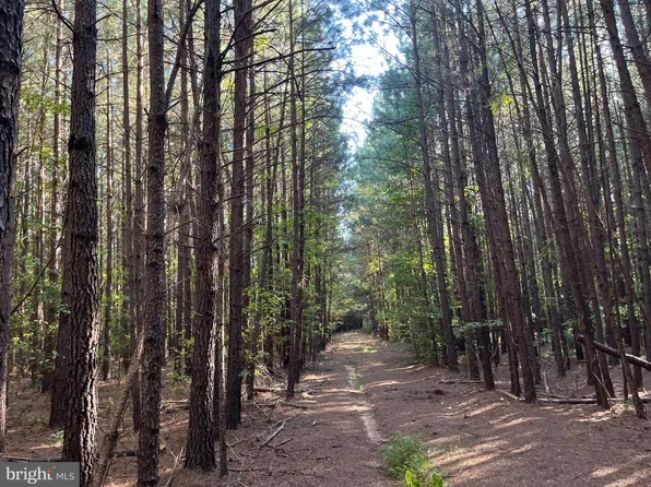 1 Riceville Rd, Gretna, VA 24557
