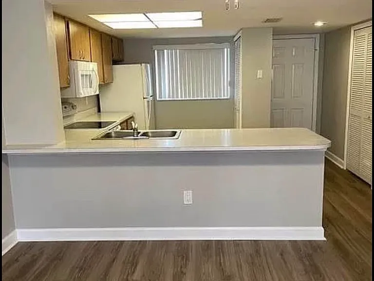 1605 Palm Beach Trace Dr — Photo 2