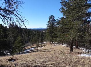 109 Badger Lake Cir, Divide, CO 80814
