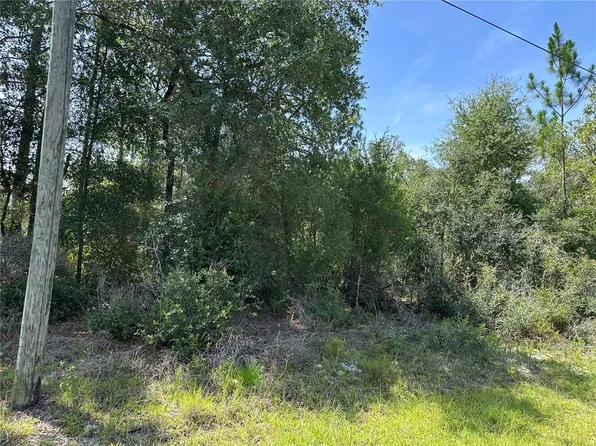 1498 E Carson Rd Lot 12, Dunnellon, FL 34434