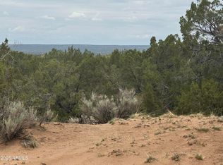 Lot 78 Witch Well Ranches -- #78, St Johns, AZ 85936