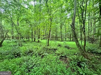 0 Cedar Ln, Danielsville, GA, 30633