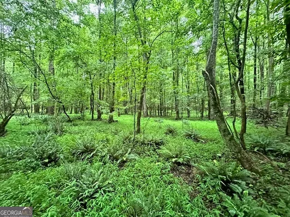 0 Cedar Ln, Danielsville, GA 30633