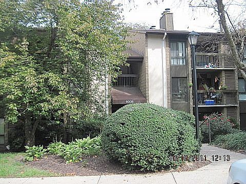 2nd image of 6005 Majors Ln APT 4-O28