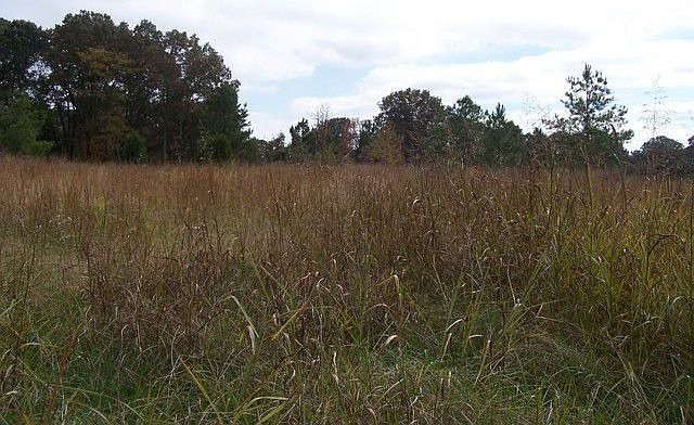 2nd image of 300 County Road 111