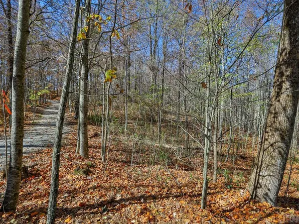 TBD Buck Knob Road, Scaly Mountain, NC 28775