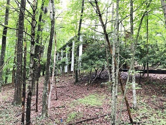 2nd image of 525 Dogwood Dr