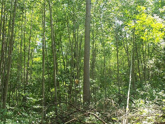 4th image of Lot 5 Birch Tree Trail