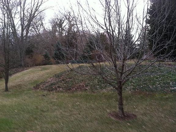 Beautifully landscaped