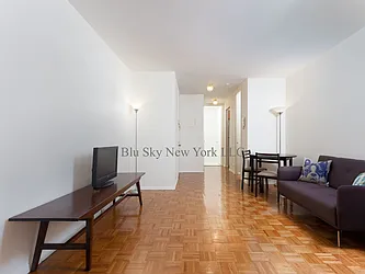 Rented by Blu Sky New York LLC