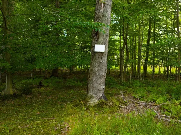 Eastwood Ave #1, Angola, NY 14006