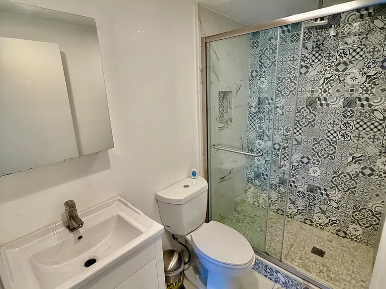 1st Floor Bathroom and Shower