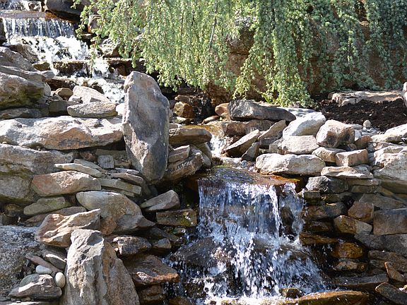Waterfall into Koi Pond