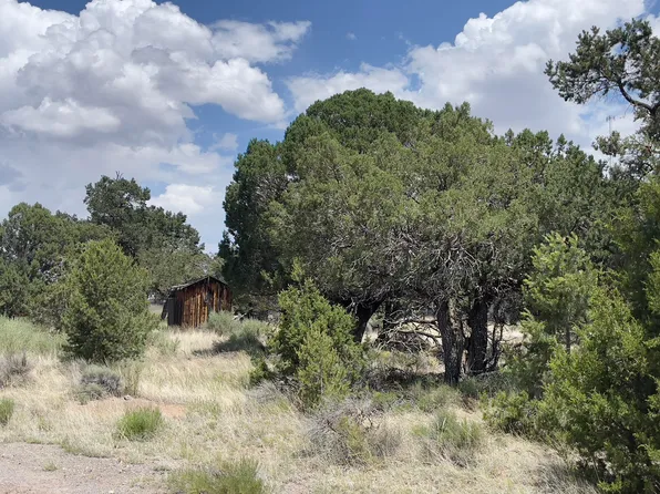 TRACT 2 W #B, Pie Town, NM 87827
