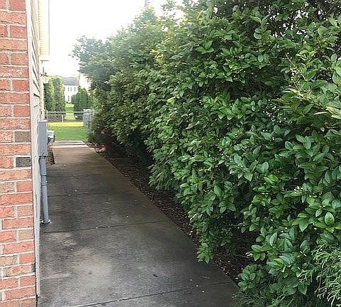 Private sidewalk to backyard