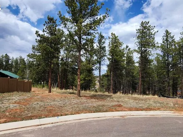 1396 Roberts Ranch Rd, Woodland Park, CO 80863