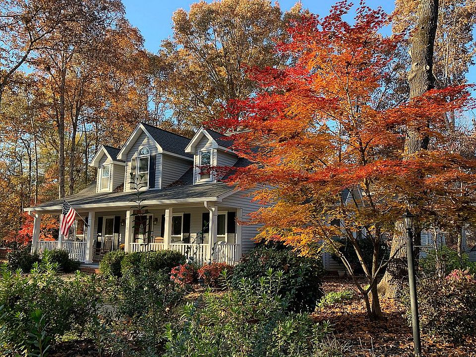 Autumn Beauty