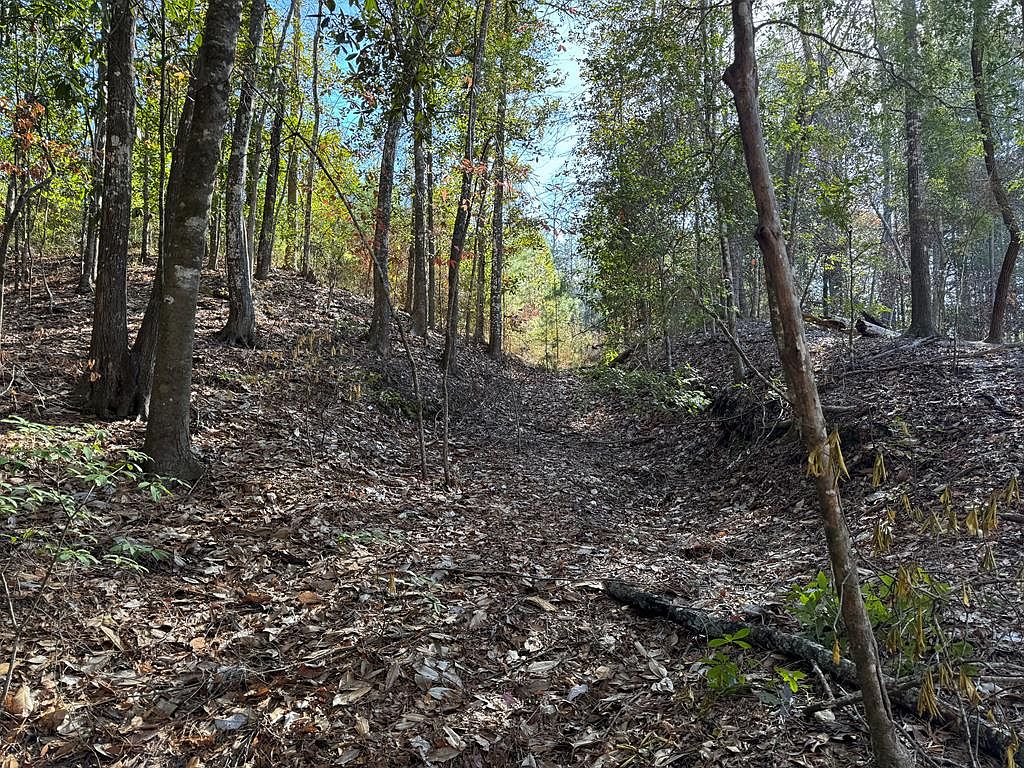 0 Woodland Ln, Gloster, MS 39638 MLS 140747 Zillow