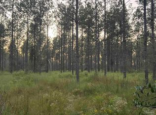 LOT 5 Wallace Lake Rd, Milton, FL 32571