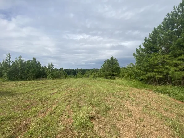 Brown Creek Rd, Shiloh, GA 31826