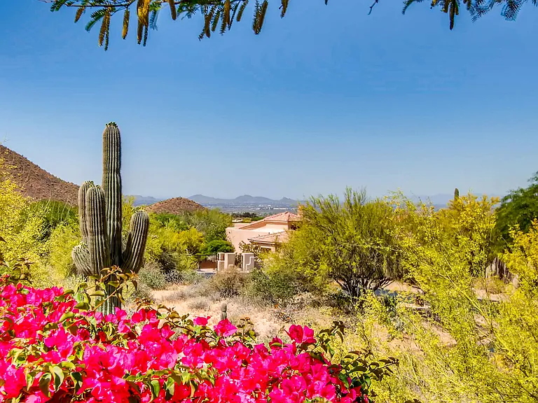 11015 E Desert Vista Dr — Photo 11