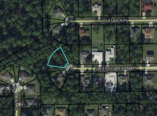 16 Sleeping Beauty Pl, Palm Coast, FL 32164