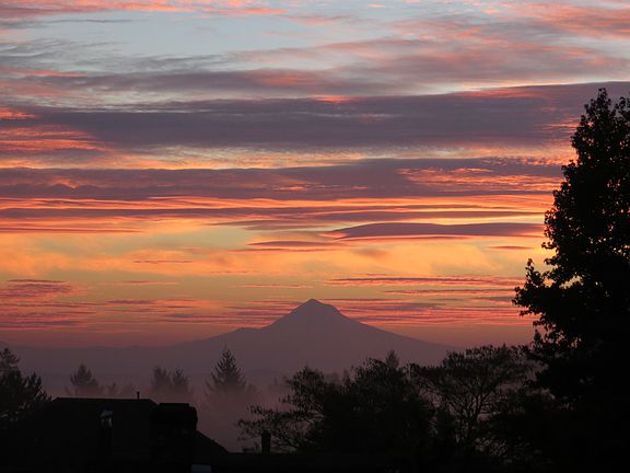 View From Deck