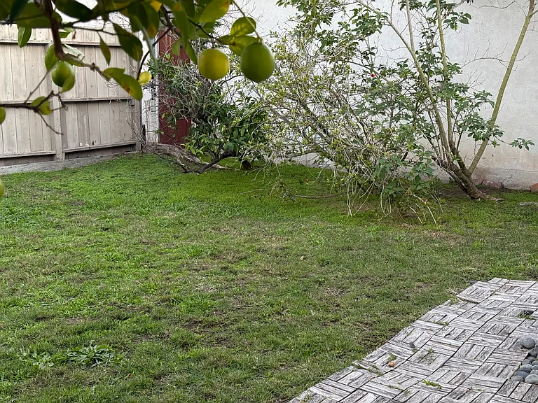 3959 Falcon St — Photo 12