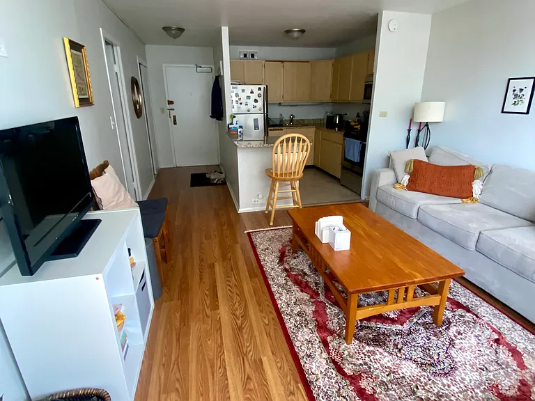 3550 N Lake Shore Dr #423 — Photo 5