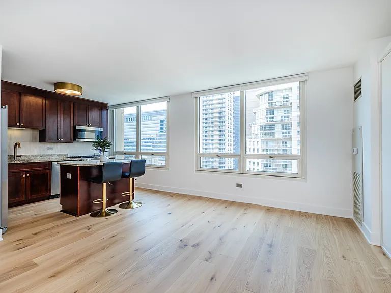 33 W Ontario St #31D — Photo 16