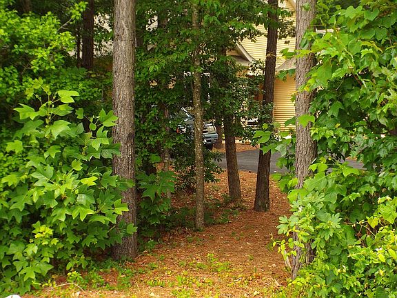 Path To Pond