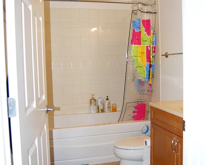 1431 S Halsted St #3A — Photo 8