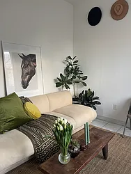 Rented by The Agency