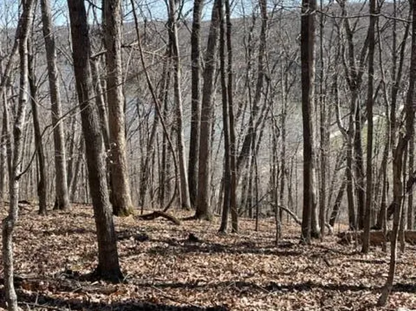 14 Log Cabin Trl, New Florence, MO 63363