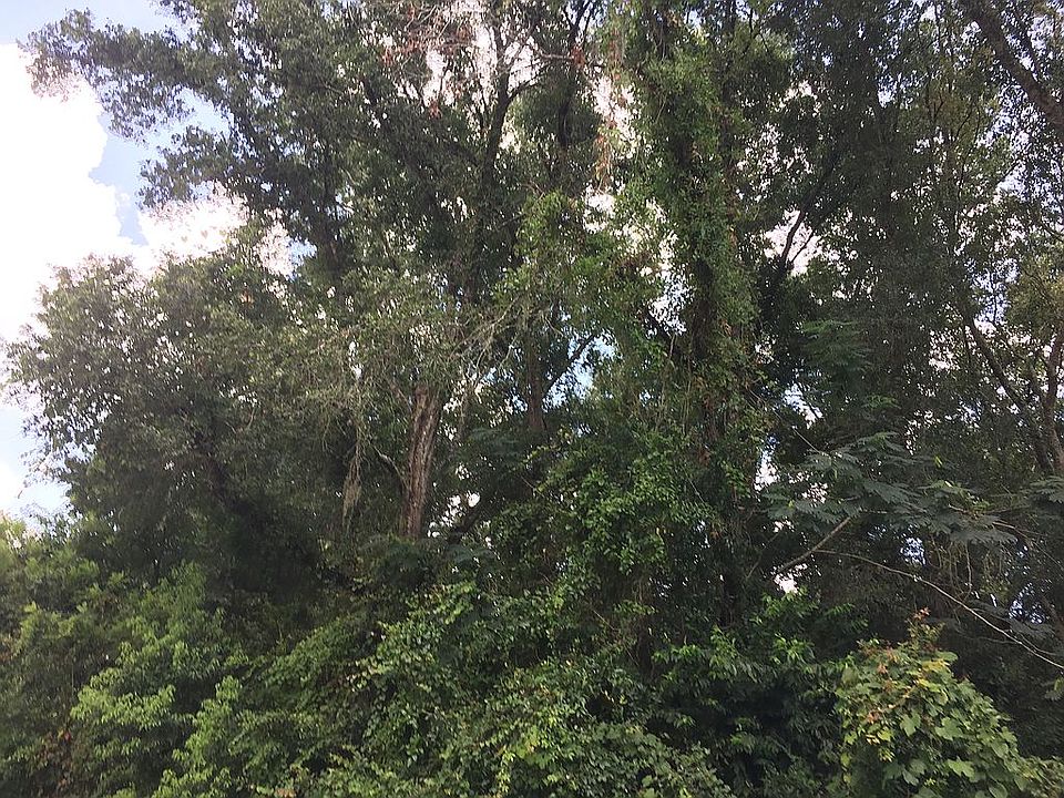 1st image of 9402 SE 144th Pl