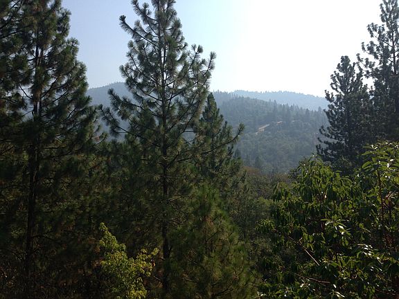 View from Back Deck