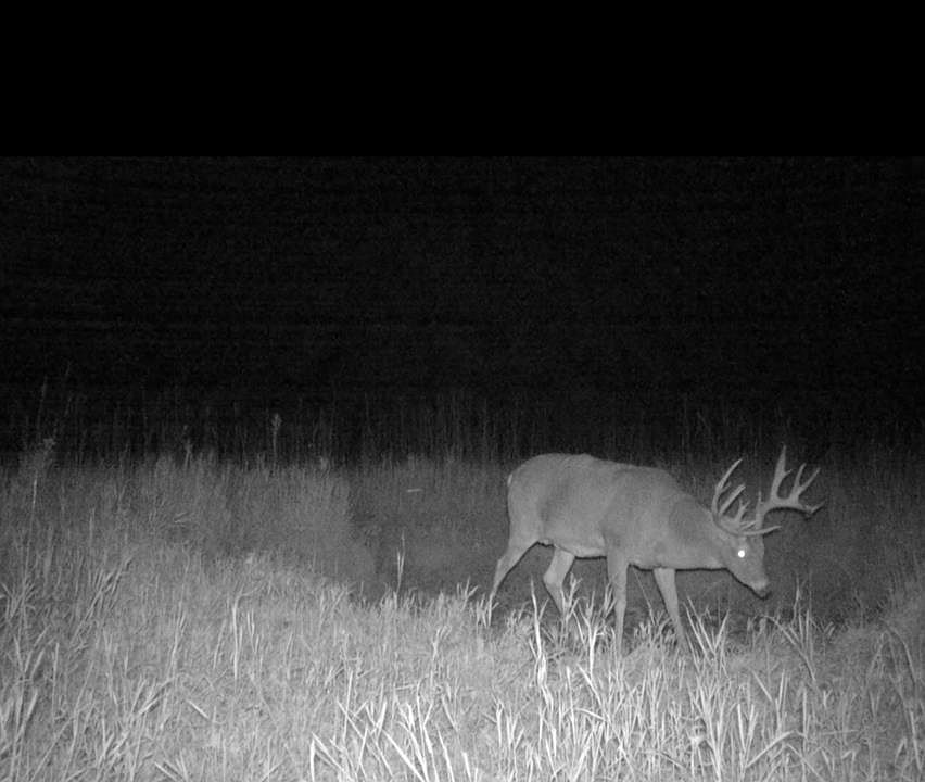 1st image of 10713 State Highway 149